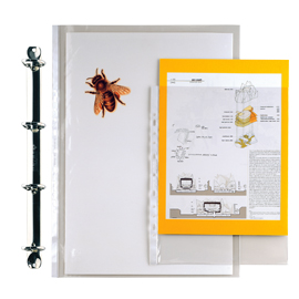 10 buste forate 35x50-15 ercole pvc seirota