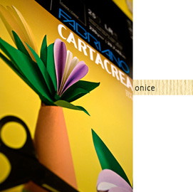Blister 10fg cartoncino 35x50cm 220gr onice cartacrea fabriano