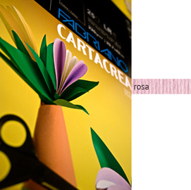 Blister 10fg cartoncino 35x50cm 220gr rosa cartacrea fabriano
