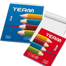 Blocco note 210x297mm 5mm 50gr 60fg team blasetti