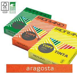 Carta copy tinta a4 80gr 500fg col.forti aragosta