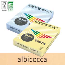 Carta copy tinta a4 80gr 500fg col.tenue albicocca