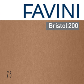 Conf.10 cartoncino bristol color 200gr 100x70cm marrone 75 favini