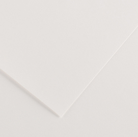 Foglio colorline 70x100 cm 220 gr. 01 bianco
