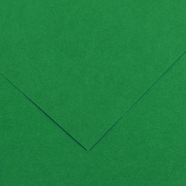 Foglio colorline 70x100 cm 220 gr. 30 verde vivo