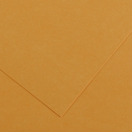 Foglio colorline 70x100 cm 220 gr. 32 cuoio
