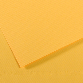 Foglio mi-teintes a4 cm 160 gr. 400 botton d'oro