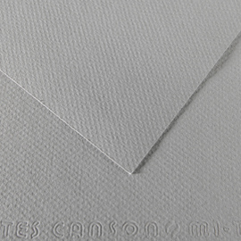 Foglio mi-teintes a4 cm 160 gr. 122 grigio flanella
