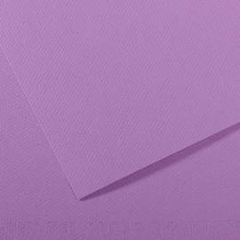 Foglio mi-teintes a4 cm 160 gr. 113 mirtillo