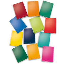 Maxiquaderno a4 40fg+2 80gr 10mm monocromo pigna