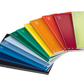 Maxiquaderno a4 40fg+2 80gr 1rigo c/marg monocromo pigna