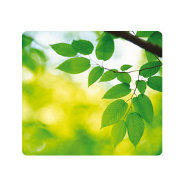 Mousepad foglie ecologici earth series™ fellowes