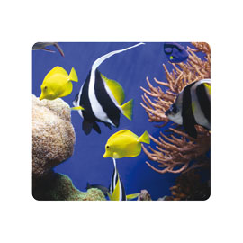 Mousepad sotto il mare ecologici earth series™ fellowes