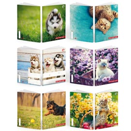Maxiquaderno a4 36fg+2 100gr 1rigo baby be more special 2018 bm
