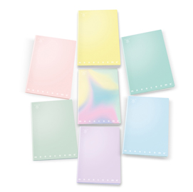 Maxi quaderno a4 80gr 40+2fg 1rigo c/margine linea pastel monocromo pigna