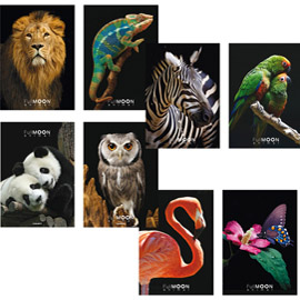 Maxiquaderno a4 20fg+1 80gr 1 rigo c/margine full moon animal 2020 blasetti