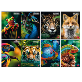 Maxiquaderno animal - a4 - 1 rigo - c/margine - 42 fogli - 80 gr - pigna
