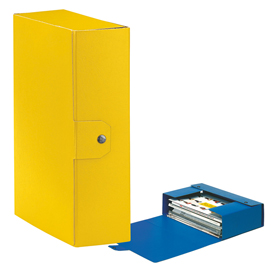 Scatola progetto c30 25x35cm dorso 10 giallo esselte