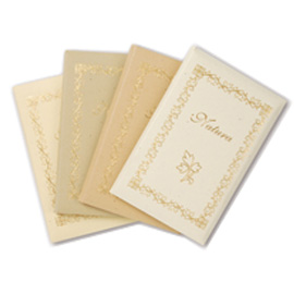 Taschetta 10biglietti+10buste f.to 9 9x14cm natura colori assortiti
