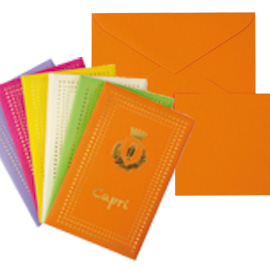 Taschetta 10biglietti+10buste f.to 9 9x14cm capri colori assortiti